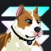 G (@gsolanadog) Twitter profile photo G (@gsolanadog) Twitter profile photo