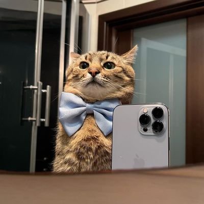 JohanPrime2's profile picture. Anime fan
