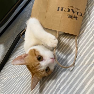 あなたにはとても「秘密の感情」があります ����、それはプロットを隠すようなものです。友達を追加して、私にそれを探索させてください