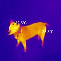 Jan Michael Carrillo (@janmikel) 's Twitter Profile Photo