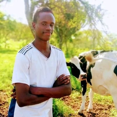 gisarwigema92's profile picture. HARD WAY IS THE ONLY WAY💪🙏.
The king of his destiny