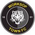 Worksop Town FC (@worksoptownfc) Twitter profile photo Worksop Town FC (@worksoptownfc) Twitter profile photo