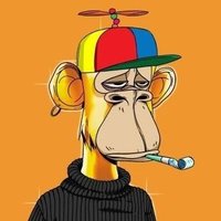 Humble BO$$ (@humble_boss247) 's Twitter Profile Photo Humble BO$$ (@humble_boss247) 's Twitter Profile Photo