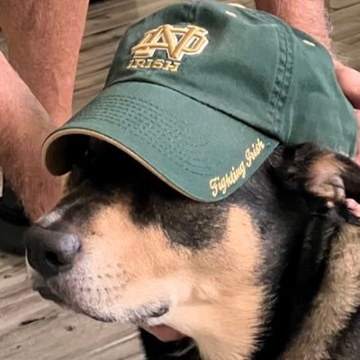 Robt1066's profile picture. Husband to awesome wife and father to incredible son. Dog lover. Enjoy golf⛳️, the Colts 🐎 and Fighting Irish☘️. I've been known to write a little bit, too.😏
