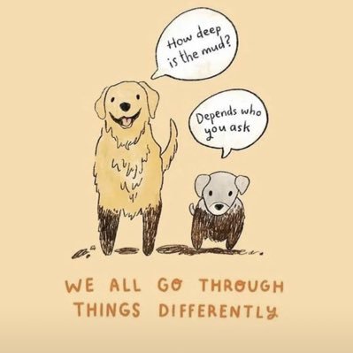 Addieeee96's profile picture. @MorphLayer