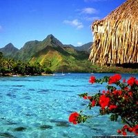 Rani Dasi (@ranidasi) 's Twitter Profile