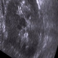 forny_ (@forny_d) 's Twitter Profile