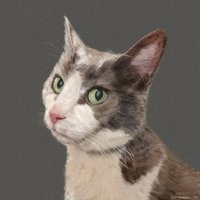 ClappyVonTrappe (@clappyvontrappe) 's Twitter Profile