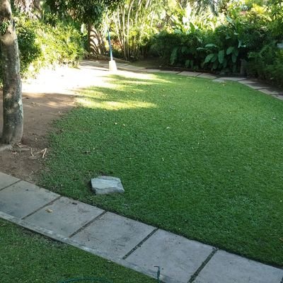 bskrgodoy25's profile picture. Venezuela