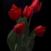 Hayırlı Olsun (@ramadan68241394) 's Twitter Profile Photo Hayırlı Olsun (@ramadan68241394) 's Twitter Profile Photo