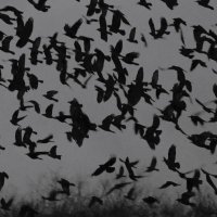 Dan J (@sidmouthnature) 's Twitter Profile Photo