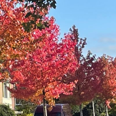 Assie1601's profile picture. Trotse Mam! Musicals!WolterKoes !en tegenwoordig wandelfanaat