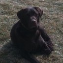 Jon Weiler - @weiler84 - Twitter