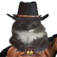 Maikybon (@maikybon) 's Twitter Profile