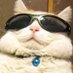 Knoxsi. (@knoxsi_) Twitter profile photo Knoxsi. (@knoxsi_) Twitter profile photo