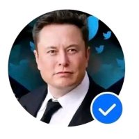 Elon 𝕏 (@elonmuskdirecct) 's Twitter Profile