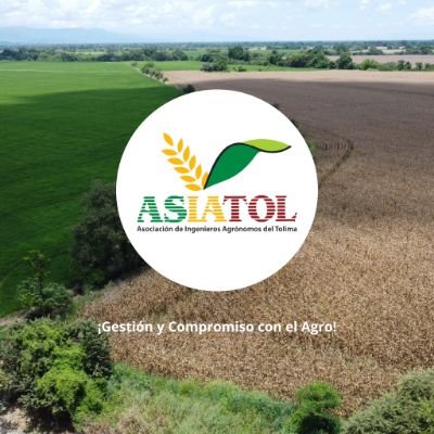🌱 Asociación de Ingenieros Agrónomos del Tolima.
¡Gestión y Compromiso con el Agro!