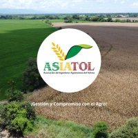 ASIATOL (@asiatol1) 's Twitter Profile Photo ASIATOL (@asiatol1) 's Twitter Profile Photo