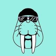 Gulab1357's profile picture. My name is Gulab a web3 user from 2024 and I want to become a part of the @DataHaven_xyz community.