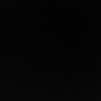 David Pataconi (@david_pataconi) 's Twitter Profile