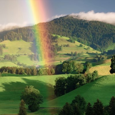 futures_un's profile picture. onchain liquidations