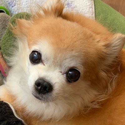 hideki_0505's profile picture. 