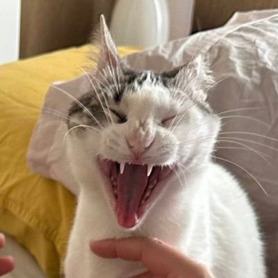 CM freelance. Hago cosas en @GalaxiaDeIdeas. Más hobbies que tiempo y dinero. Sauron vive, la lucha sigue.