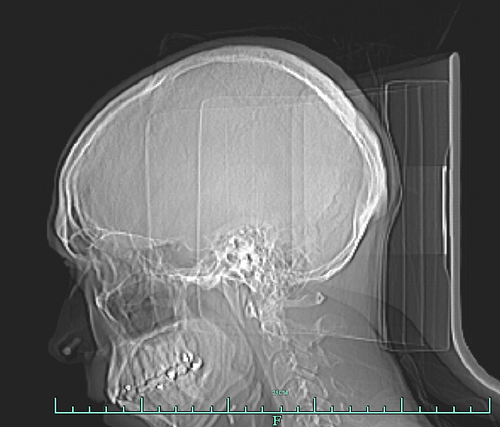 drunkenGeeBee's profile picture. Modest goals, extravagant plans. Fuck Ted Wheeler. He/His