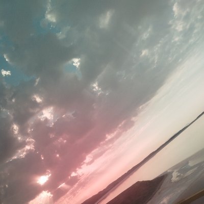 ErTq243's profile picture. نگلریا فاولری، مراقب مغزتان باشید!