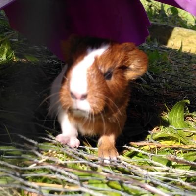 RobRathura's profile picture. 