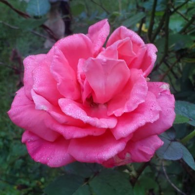 gomes46645's profile picture. I enjoy both the outdoor and indoor activity.