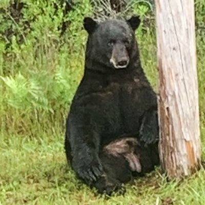 I will never see a Bears Super Bowl in my life. 0-2 and counting
