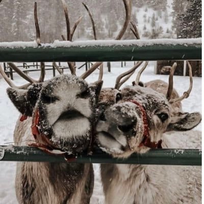 macandcheese009's profile picture. 