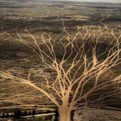 4MMMX's profile picture. الحمدلله