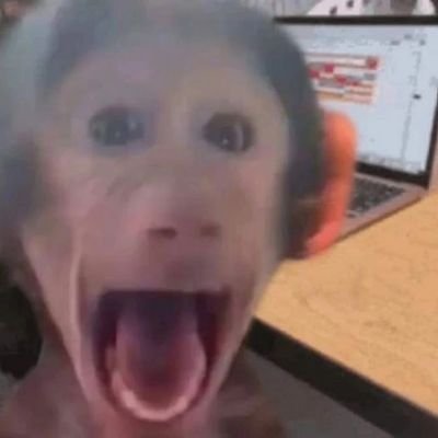 Michi2Tao's profile picture. \\I'm just a monkey in a scientists world :3//