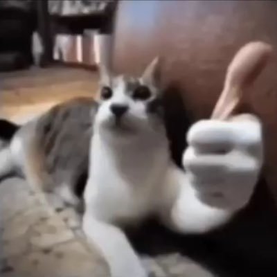 Ashur4_'s profile picture. 𝙨𝙤𝙜𝙚𝙠𝙞𝙣𝙜 𝙖𝙥𝙥𝙧𝙚𝙣𝙩𝙞𝙘𝙚... 
𝙇𝙪𝙡𝙪 𝙡𝙖𝙡𝙖 𝙡𝙪...🎵