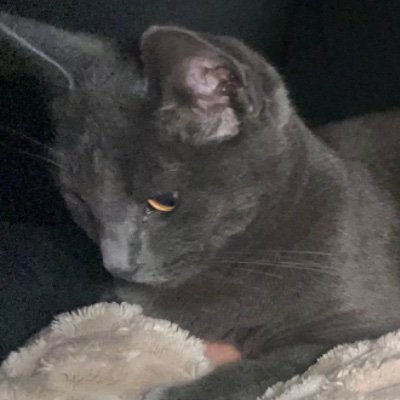 beronicajkdebd's profile picture. 😷😷