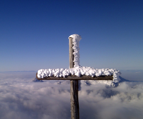 dan_y_ell's profile picture. 