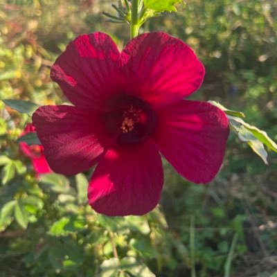 Myrnskie52's profile picture. 