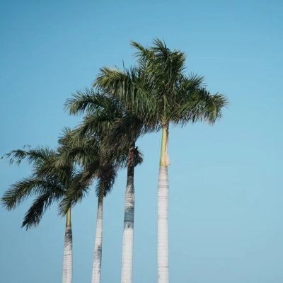 EasonGJLee's profile picture. In baby care products.