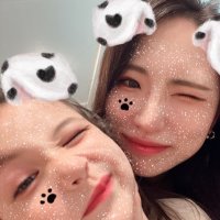 naho@12/14Vaundy (@c3sgf45) 's Twitter Profile