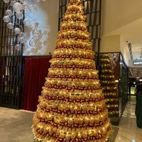 Reed_on_the_Run (@reed_on_the_run) 's Twitter Profile