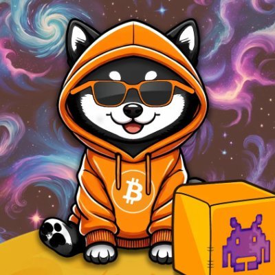 #Runestones - $DOG -
Creator of the CampendonkPunks -
Father of the Meet the Bloomps artist - Bitcoin Stamp #1415 Charizard