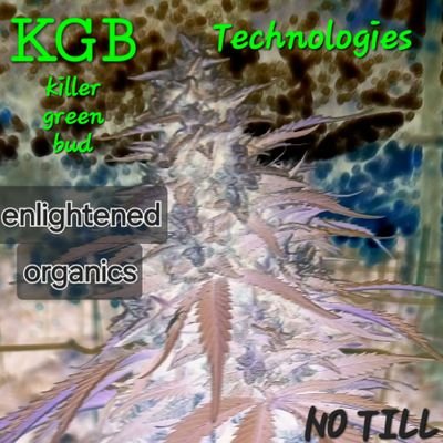 Captsuited's profile picture.