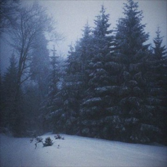 hara__7's profile picture. braindead