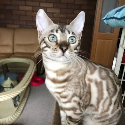 lucky10062's profile picture. 