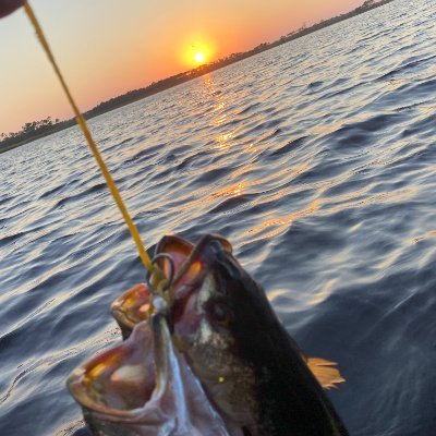 LooneyJJoseph's profile picture. 