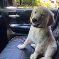Juanamakalotta (@tbopaloubop) 's Twitter Profile