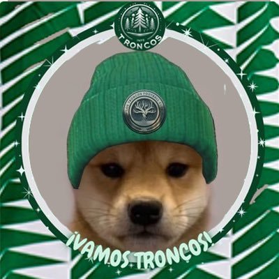 _imsaraa's profile picture. Admin de @InfoTroncos✨