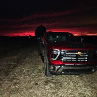 Wolfey73 (@chrisw6639) 's Twitter Profile